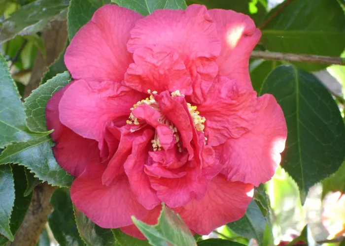 Bellavista By Fewotessin 아파트