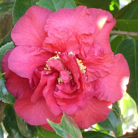 Bellavista By Fewotessin Apartamento