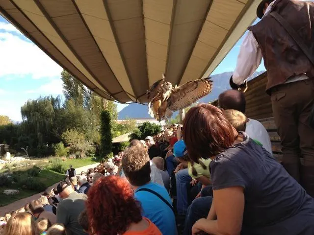 Bellavista By Fewotessin *